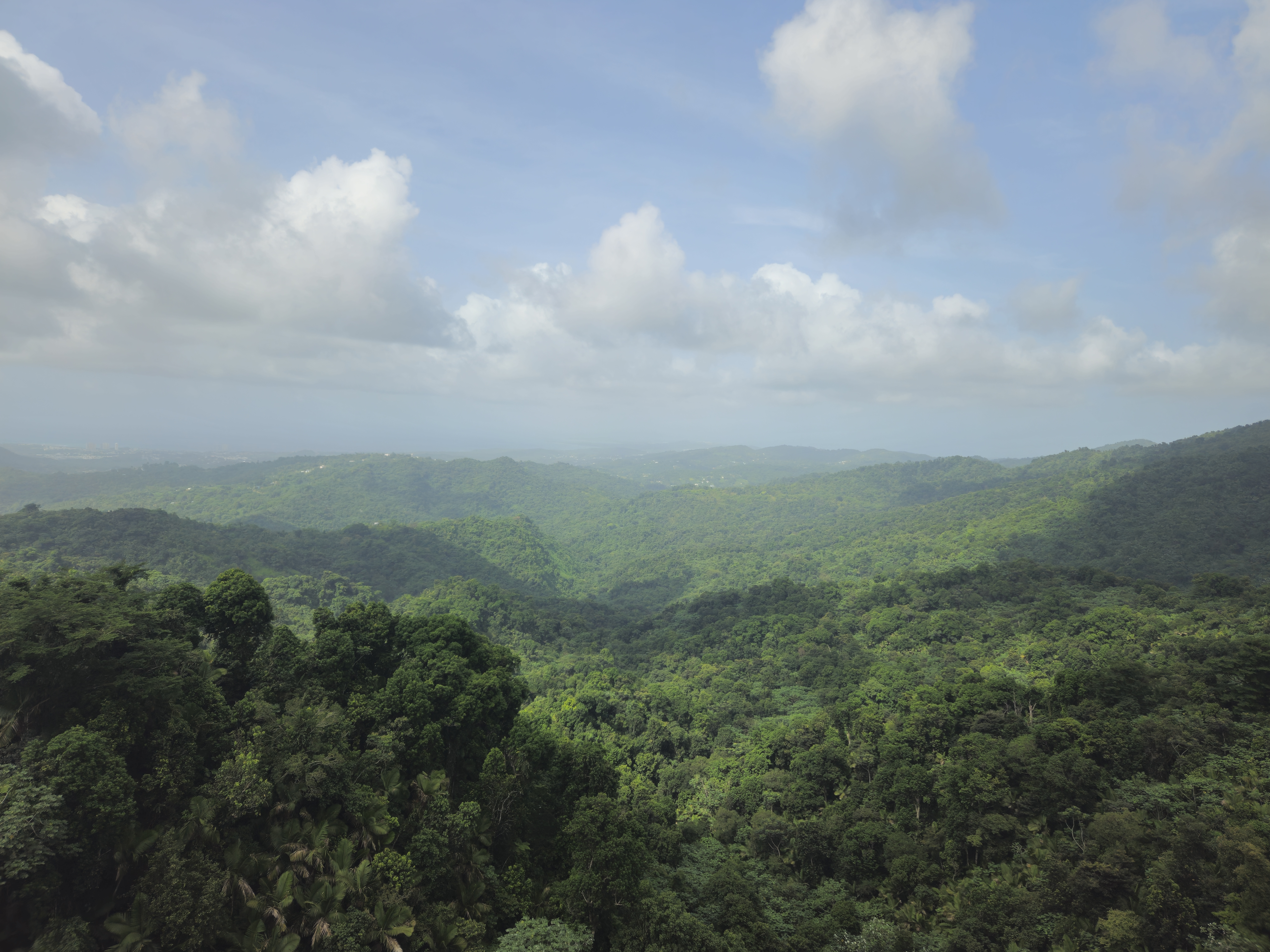PR Yunque